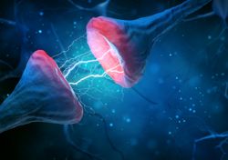 Wer im Kopf aufräumen möchte, macht am besten einen kleinen Nap