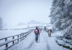 Wintereinbruch in Deutschland: Wo wird´s nochmal weiß? 