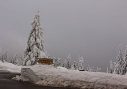 Wetterforscher erschrocken: „Der Schalter kippt gerade": El Niño ist zurück – und plötzlich reden alle über den Winter!