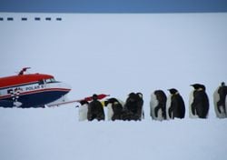 Wolken über der Antarktis: Erste fluggestützte Aerosol-Messungen seit zwei Jahrzehnten durchgeführt