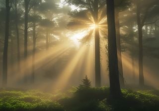 &iexcl;M&iacute;nima sequ&iacute;a en M&eacute;xico! Las lluvias de primavera han beneficiado, reduciendo casi por completo la sequ&iacute;a en el pa��s