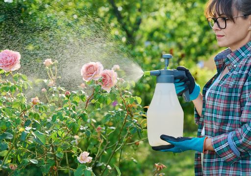 yucca palme welcher dünger Purgrün Yucca-Dünger 1 Liter