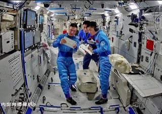 Una misión china soltó a varios peces en el espacio y esto fue lo que sucedió