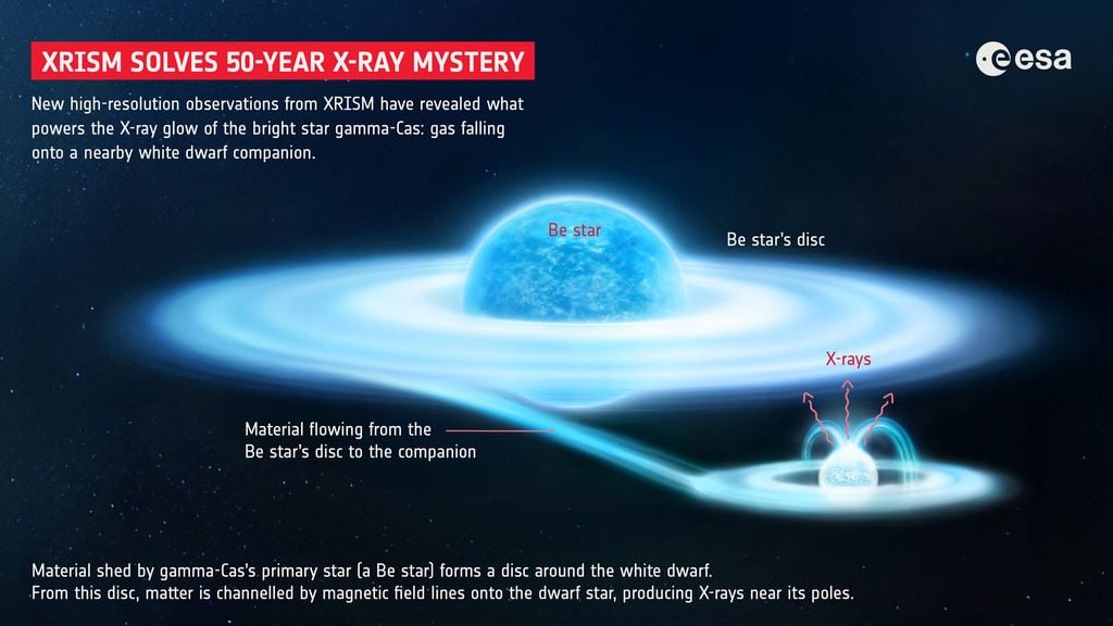 Las observaciones de alta resolución realizadas por XRISM han revelado el origen de los curiosos rayos X que emanan de la estrella gamma-Cas, visible a simple vista: materia que cae sobre su compañera, una estrella enana blanca. ESA