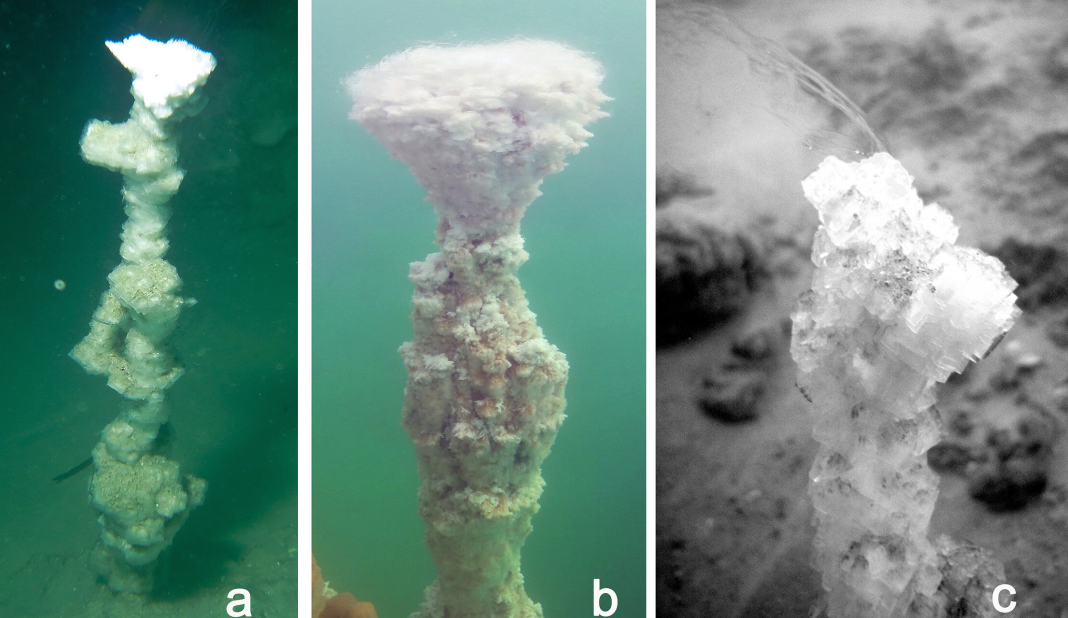 Espectaculares y misteriosas chimeneas blancas en el fondo del Mar Muerto