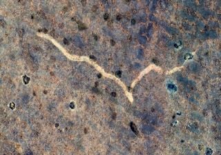 Las misteriosas marcas terrestres del interior de Australia encontradas usando Google Earth