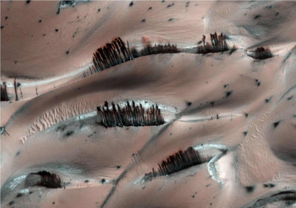 Marte arboles HiRISE