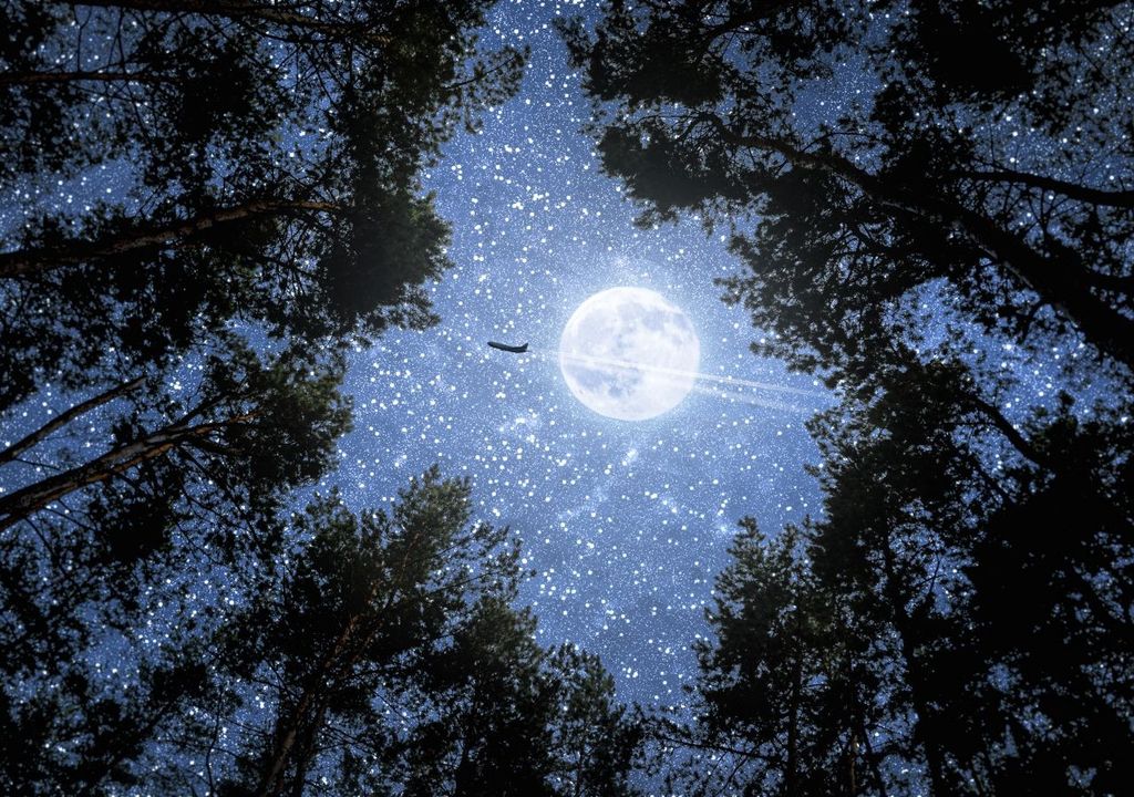 Incidente Utah. Incidente Utah.