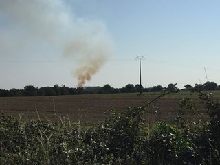 Mistral et tramontane : risque d’incendies maximal dans le sud-est