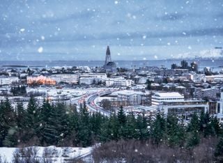 Mit vielen Büchern und heißer Schokolade durch die Weihnachtsnacht