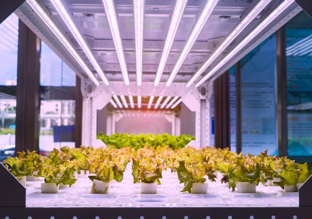 iluminación led plantas