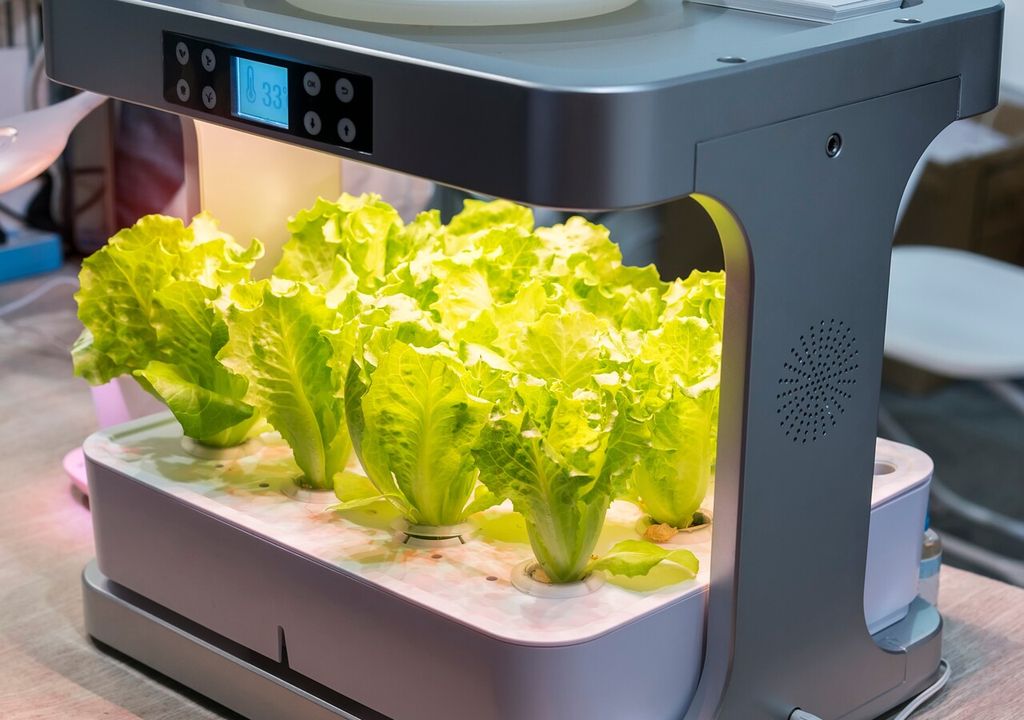 lámparas de cultivo