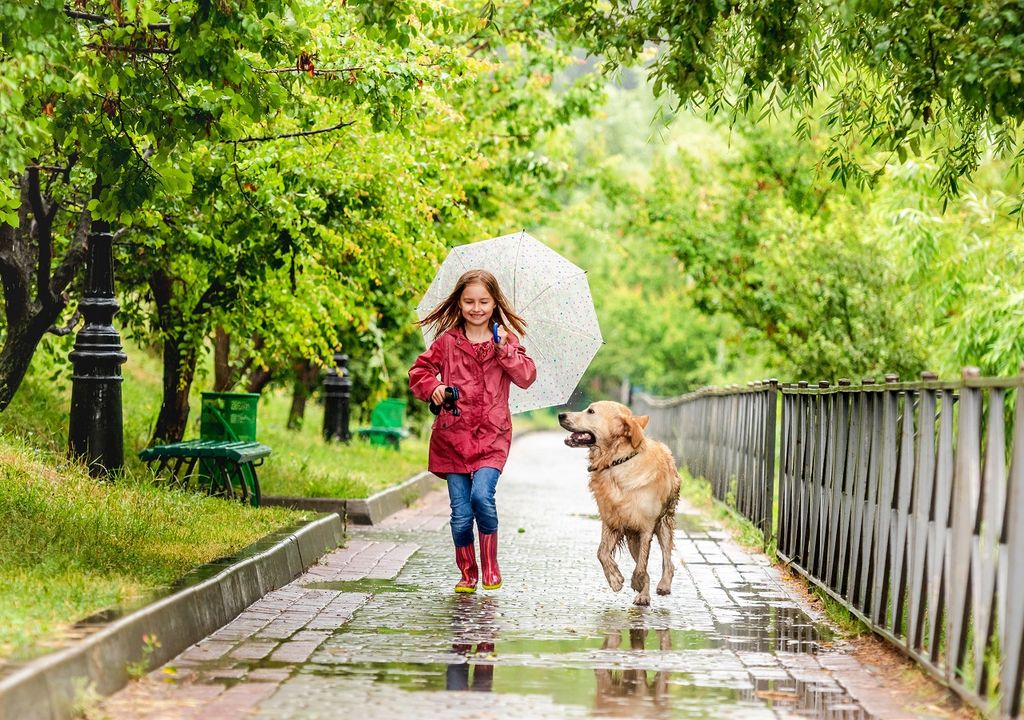 Niña cargando un paraguas, caminando junto a su perro en día de chubascos