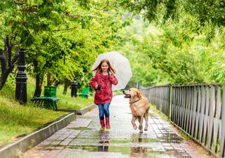 El tiempo en Chile durante la primera quincena de julio: lluvias abundantes se quedan en el sur