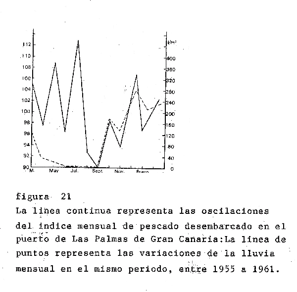 MODERNO CONCEPTO DE FRENTE PESQUERO