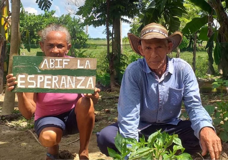 A través de los conocimientos que ya tiene la comunidad rescatan los cultivos propios de la región. Foto: PNUD A través de los conocimientos que ya tiene la comunidad rescatan los cultivos propios de la región. Foto: PNUD