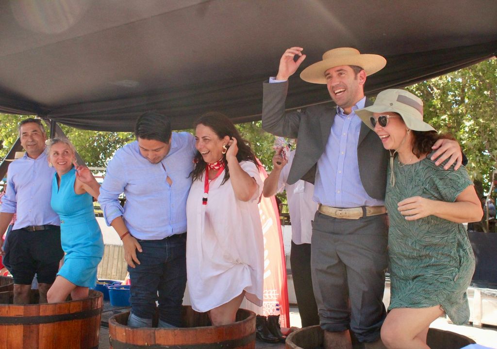 Pisado de uva en Fiesta de la Vendimia de Vicuña.