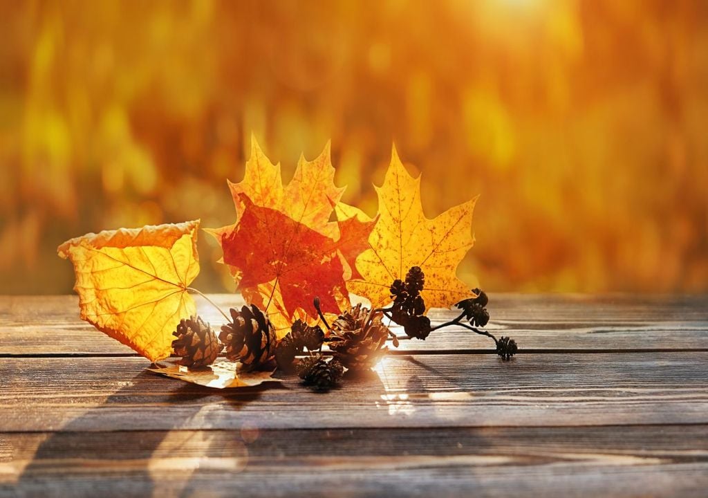 Herbstwetter Herbstwetter