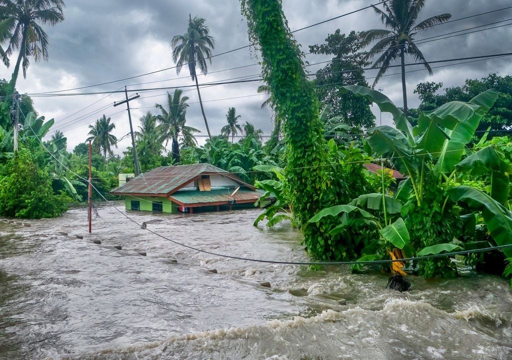 More money is urgently needed to make homes resilient to extreme weather