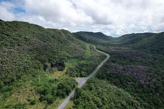Monitoramento florestal em São Paulo cobre mais de 1,7 milhão de hectares contra incêndios