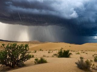 Monsoon Pattern Shift Forecasted for This Week, Bringing Southwest Storminess