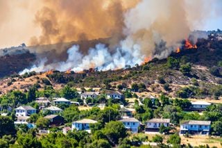 Montanhas em alerta: estudo mostra perda acelerada de vegetação