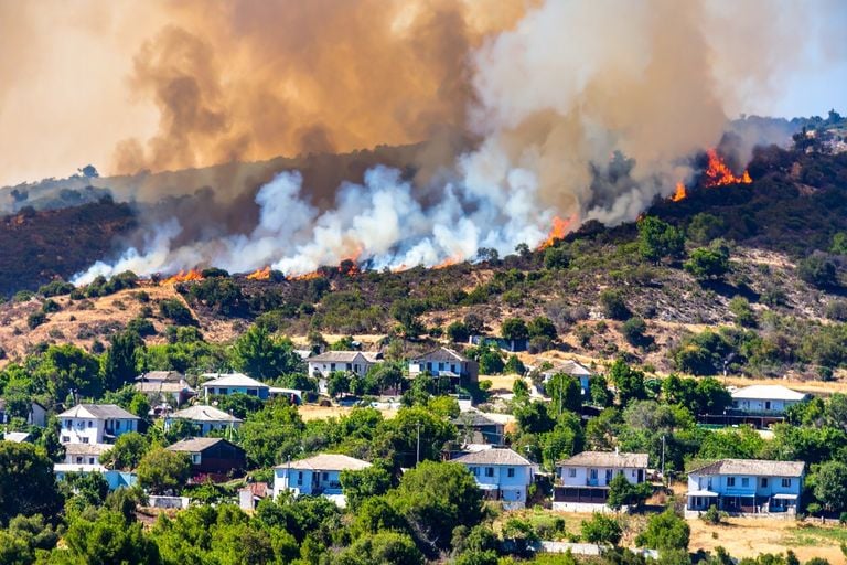 Montañas en alerta: estudio muestra pérdida acelerada de vegetación