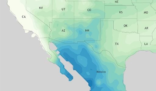 Monz&oacute;n Mexicano 2026: qu&eacute; estados salvar&aacute;n sus presas gracias a este fen&oacute;meno