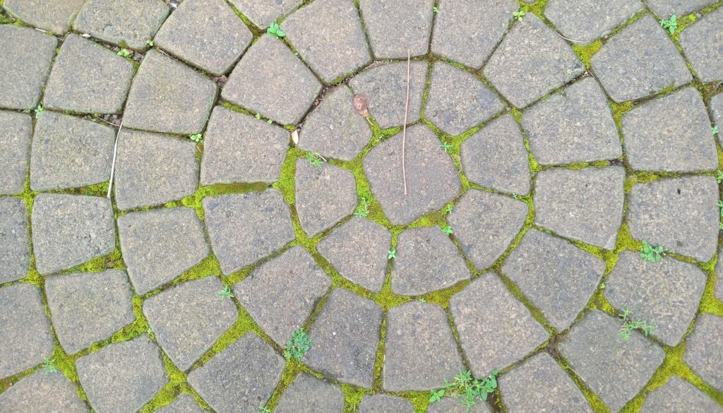 Moos ist nicht nur weniger schön, sondern kann auf Pflastersteinen richtig gefährlich werden