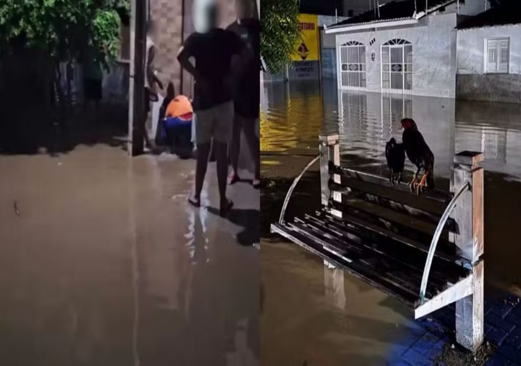 Famílias ficaram desabrigadas após fortes chuvas em cidade do Piauí — Foto: Reprodução/Redes Sociais
