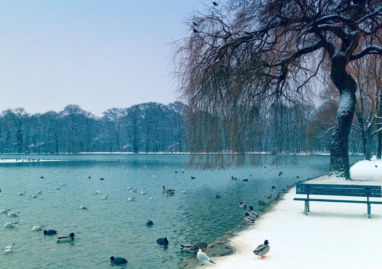 Repräsentatives Archivbild der englischen Winterbedingungen.