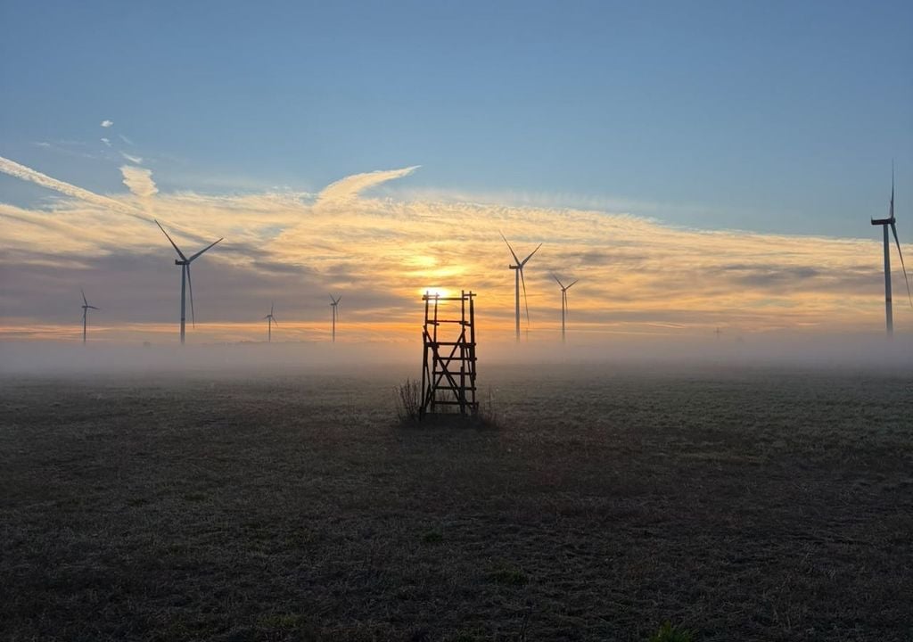 So sieht es aktuell nahezu täglich in Teilen Deutschlands aus, wenn die kühlen Morgen mit Nebel schon unmissverständlich den nahenden Herbst ankündigen