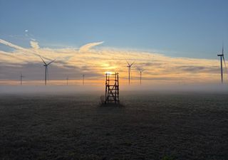 Morgens Herbst, nachmittags Sommer: Warum jetzt 20 Grad Unterschied m&ouml;glich sind