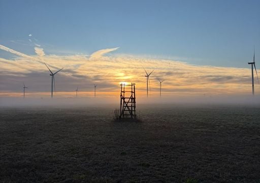 Morgens Herbst, nachmittags Sommer: Warum jetzt 20 Grad Unterschied m&ouml;glich sind
