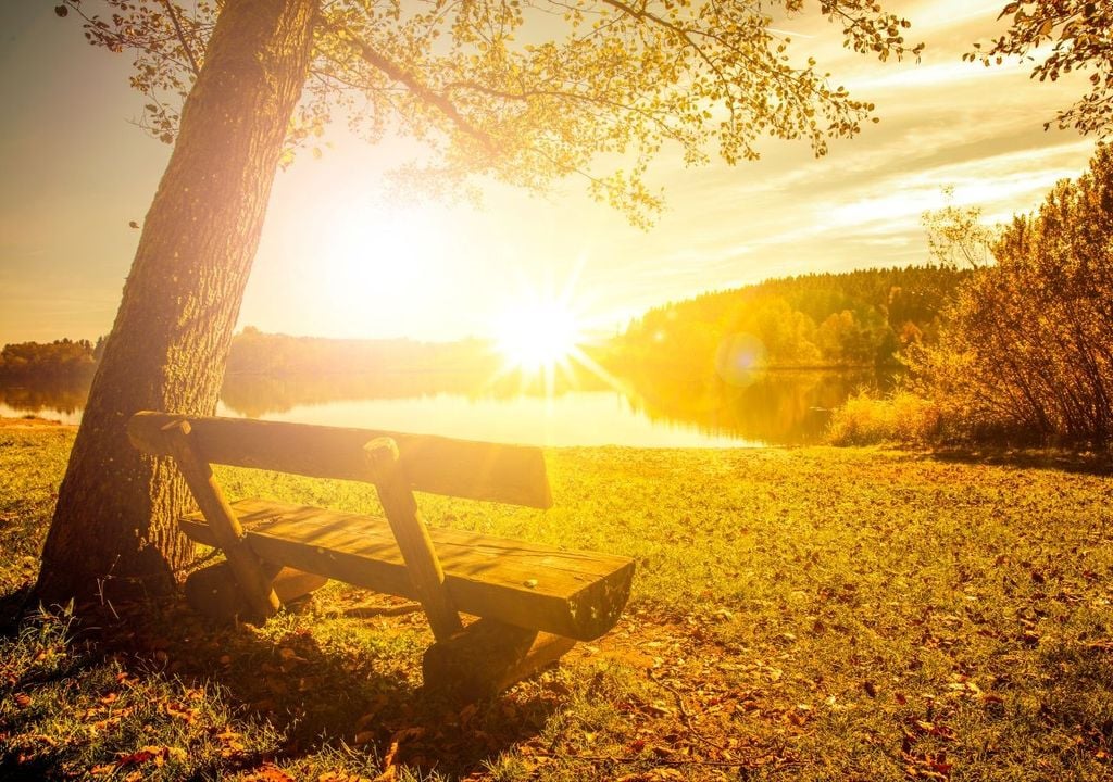 Ungestörter Sonnenschein und sommerliche Temperaturen: Was an den August erinnert, wird in den nächsten Tagen in vielen Teilen Deutschlands auch noch Ende September zu spüren sein