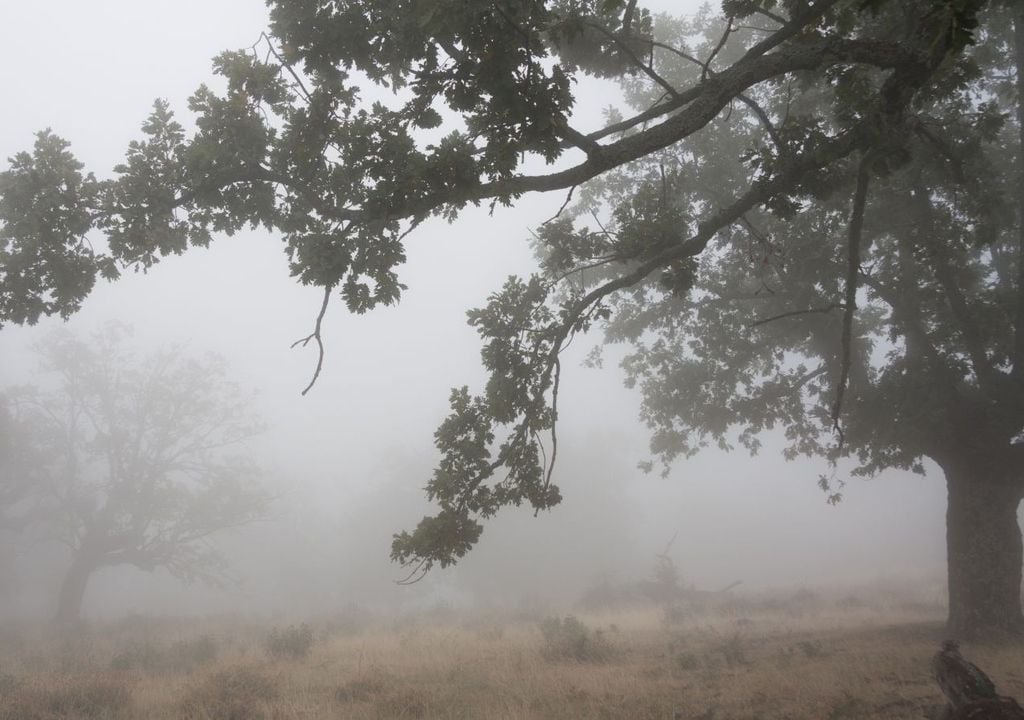 Wo es längere Zeit so aussieht, bleiben die Temperaturen teils deutlich kühler als erwartet. Besonders im Oktober und November wird es noch öfter ganztägig so aussehen können