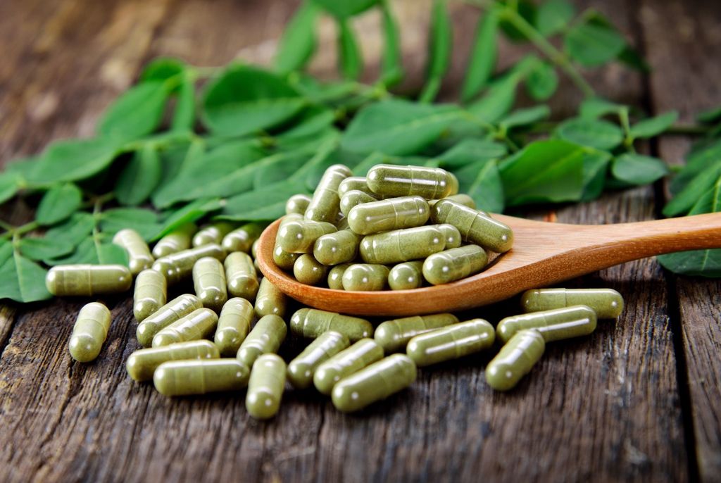 Moringa, Brasil, genetica, compostos bons Moringa, Brasil, genetica, compostos bons