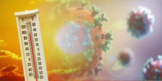 La mortalidad relacionada con el calor se amplificó en la COVID-19