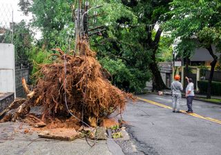 Mortes causadas pelo ciclone extratropical poderiam ter sido evitadas