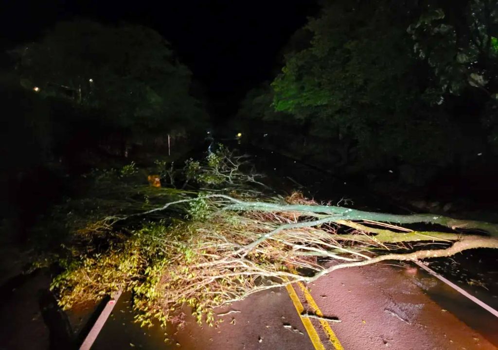 Mortes causadas pelo ciclone extratropical poderiam ter sido evitadas