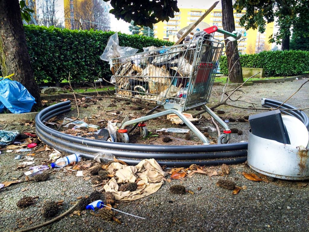 Las plagas urbanas más comunes son los mosquitos, moscas, ratas y cucarachas.