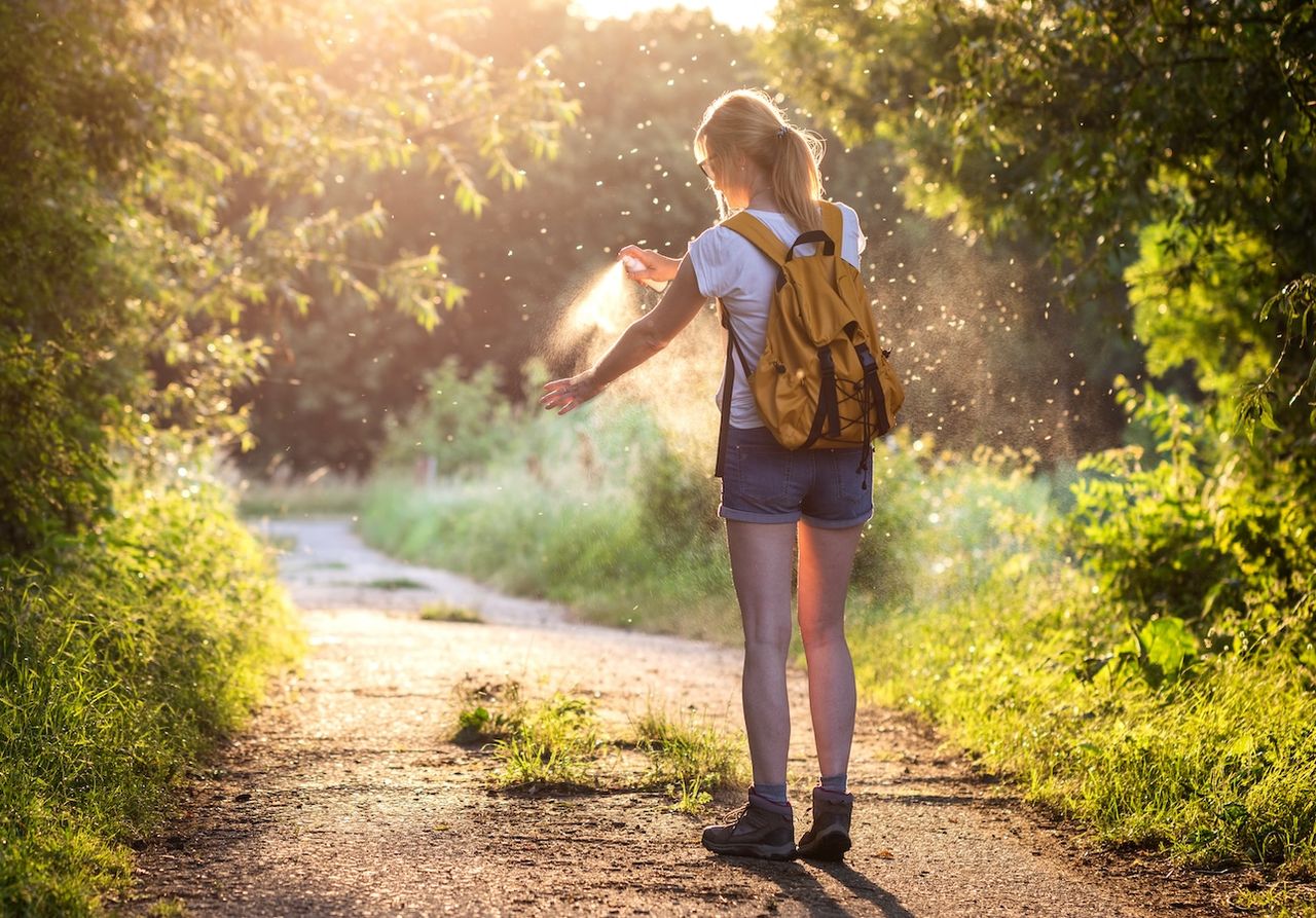 Os mosquitos têm sido vistos ao longo dos tempos como uma praga, embora alguns dos mosquitos sejam fundamentais para ecossistemas saudáveis.