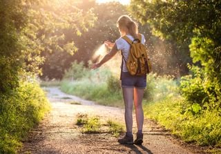 Mosquitos: mais do que sangue, uma história associada à diversidade é referida nos OEB Seminar Series de Harvard 