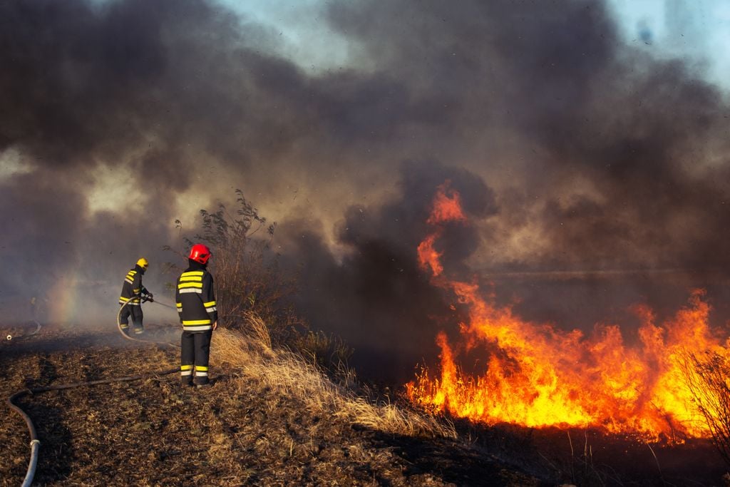 firefighters