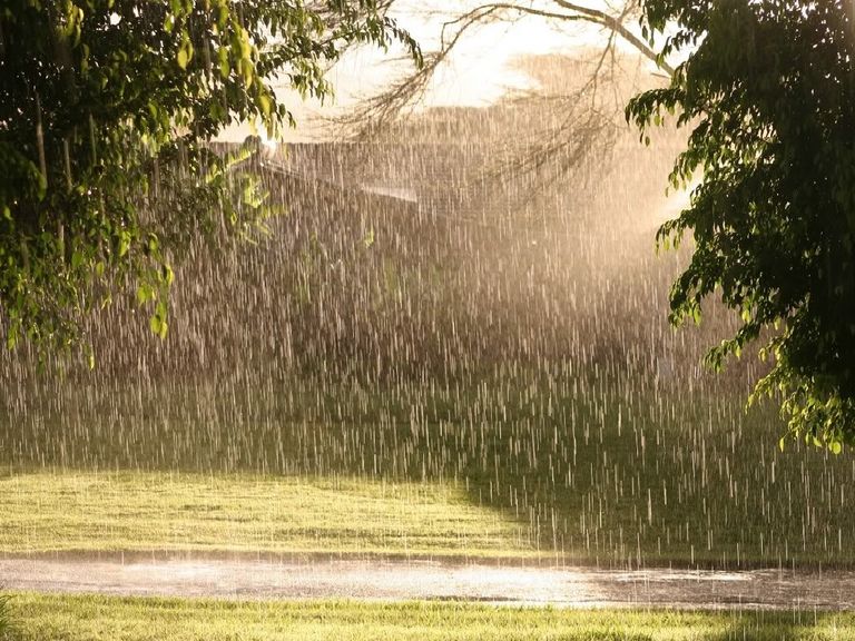 Sol y lluvias Sol y lluvias