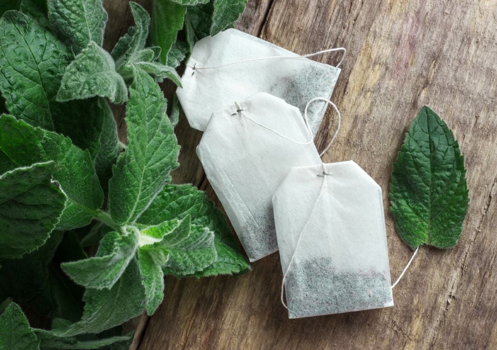 Imagen 1 Lo que crees que es basura, puede ser un gran aliado para tu huerto.