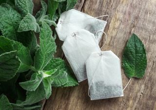 Muchos piensan que es basura, pero estos restos de cocina son oro para tus plantas