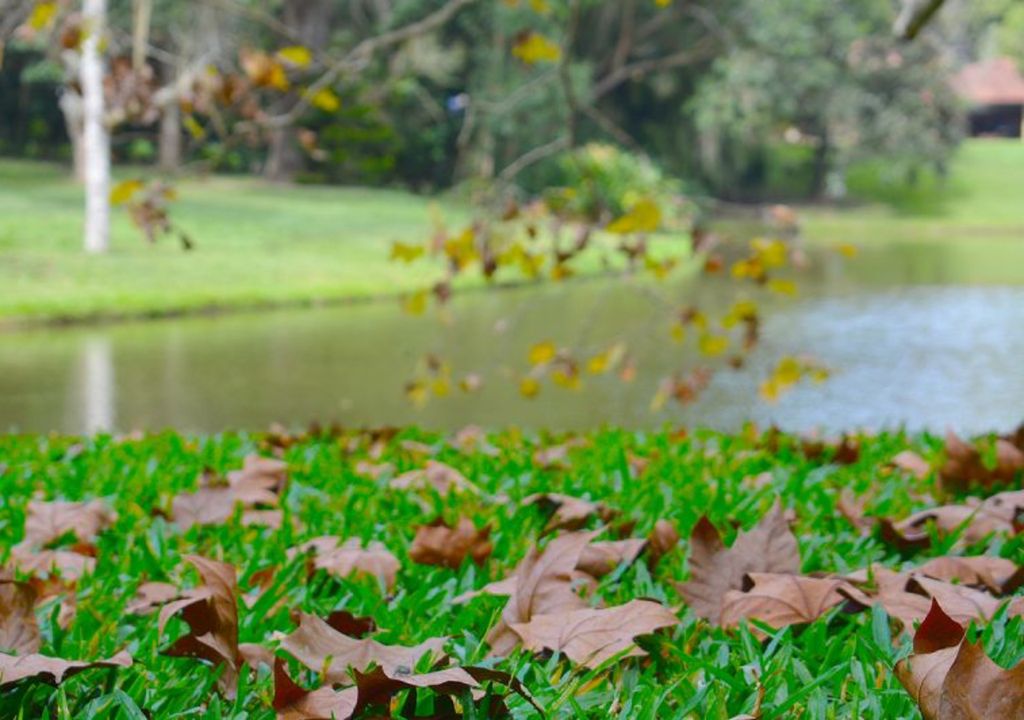 Confira a avaliação da temperatura e precipitação até o momento e o que a tendência dos modelos indicam para o restante do mês. Confira a avaliação da temperatura e precipitação até o momento e o que a tendência dos modelos indicam para o restante do mês.