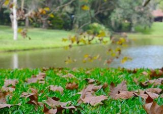 Como será o clima na segunda quinzena de Abril