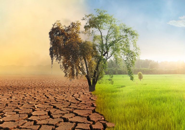 Mudança climática: alimentos menos seguros no futuro? Mudança climática: alimentos menos seguros no futuro?